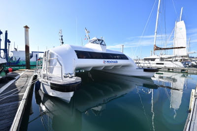 White catamaran docked in a marina on a sunny day.
