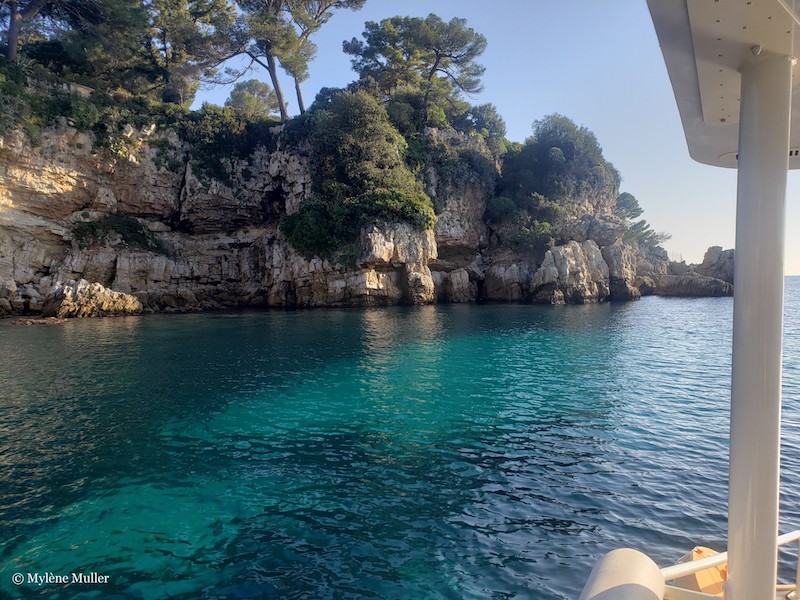 Rocky coastline with clear blue water and trees under a sunny sky.