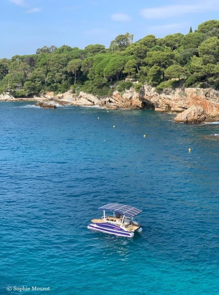 Pedal boat on blue water near rocky shore with trees.