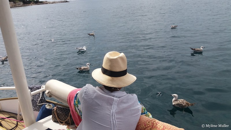 Person in a hat watching seagulls on the water from a boat.