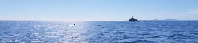 Expansive ocean view with distant ship on the horizon.