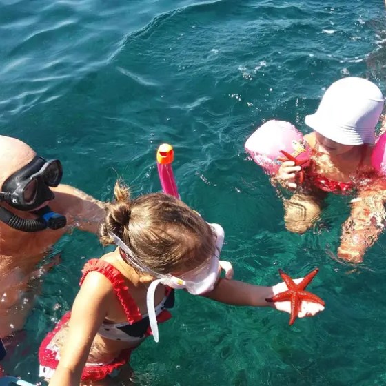 Three people snorkeling, a child holds a starfish, others use flotation devices in clear blue water.