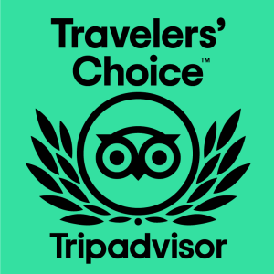 Travelers' Choice Tripadvisor logo with owl design on green background.
